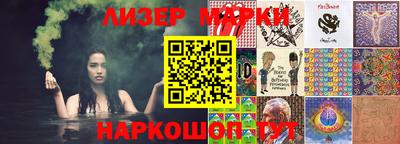индика Гусев