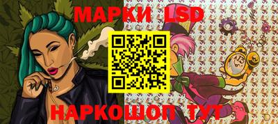 индика Гусев