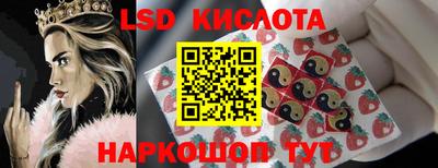 индика Гусев