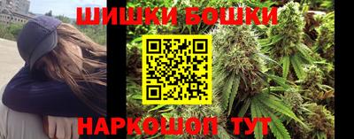 индика Гусев
