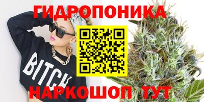 индика Гусев