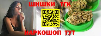 индика Гусев